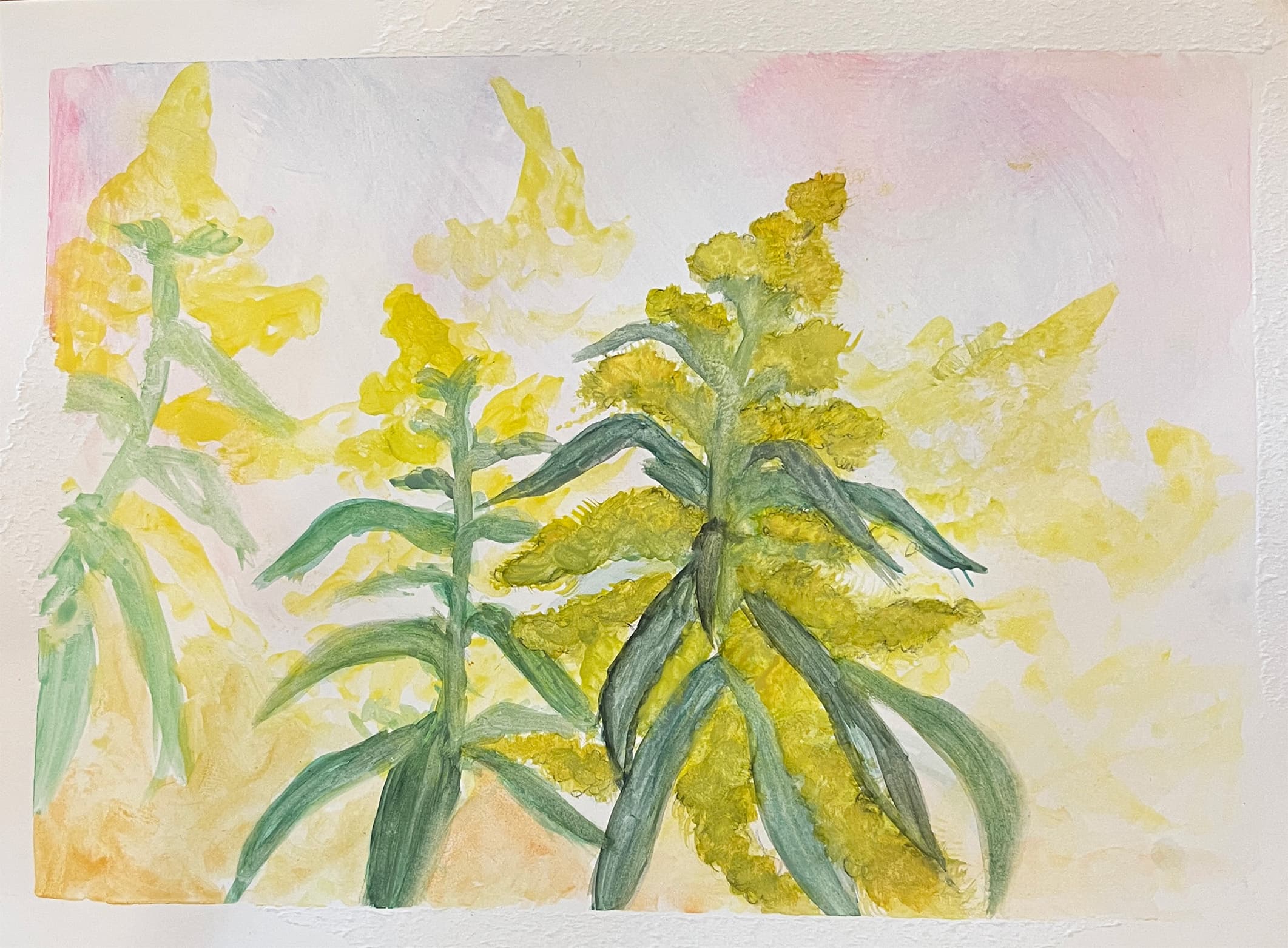 Goldenrod & the Turning Season: A Tincture of Friendship and Abundance