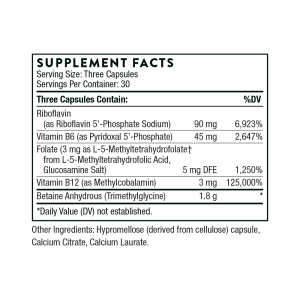 Methyl-Guard Plus - Image 2