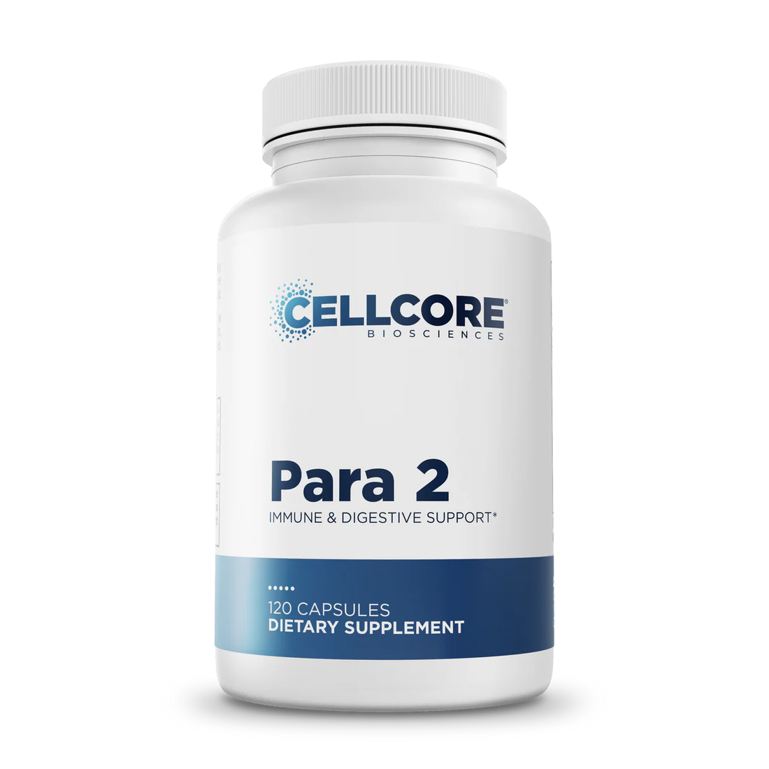 Para 2 † - Image 1